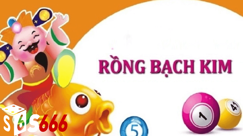 Cách Thực Hiện Rồng Bạch Kim 555 Trong Cuộc Sống Hằng Ngày