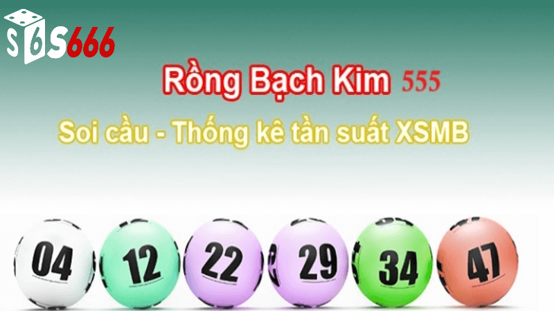 Rồng bạch kim 555